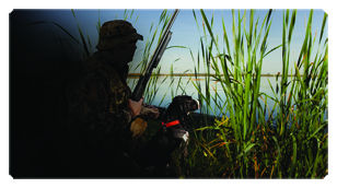 DSC700 312 Gone Hunting (Duck with Dog)